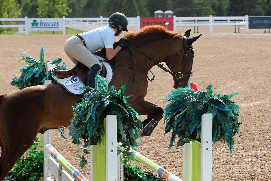 1jumper172 Photograph by Janice Byer