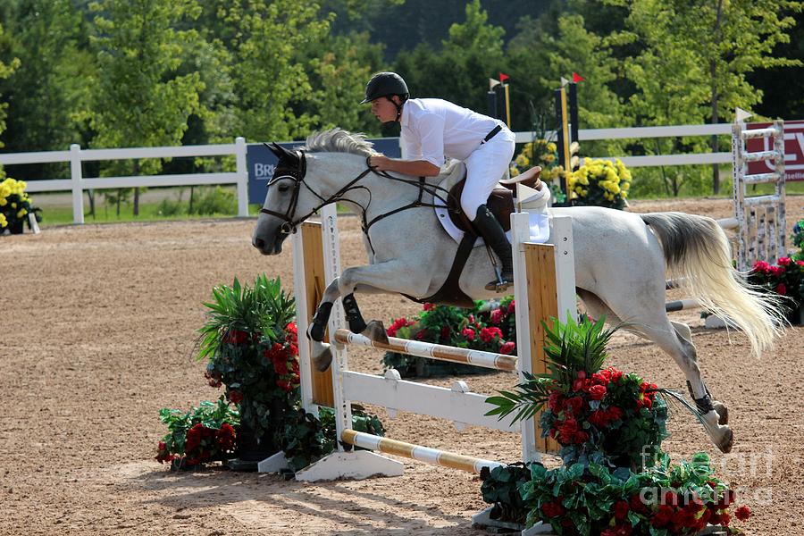 1jumper179 Photograph by Janice Byer