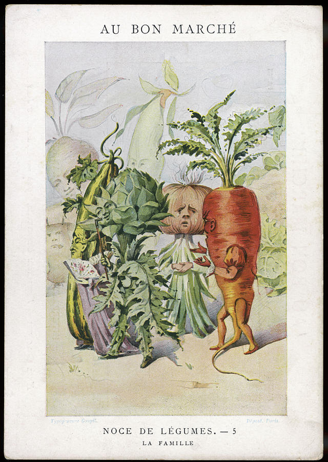 Vegetable Drawing -  The Vegetable Wedding No #2 by Mary Evans Picture Library