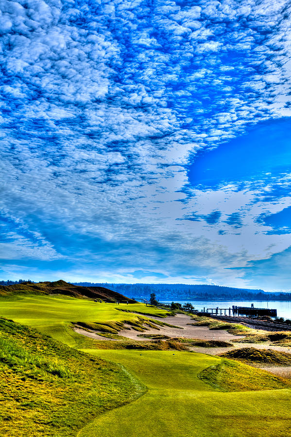 #16 at Chambers Bay Golf Course - Location of the 2015 U.S. Open Championship #2 Photograph by David Patterson