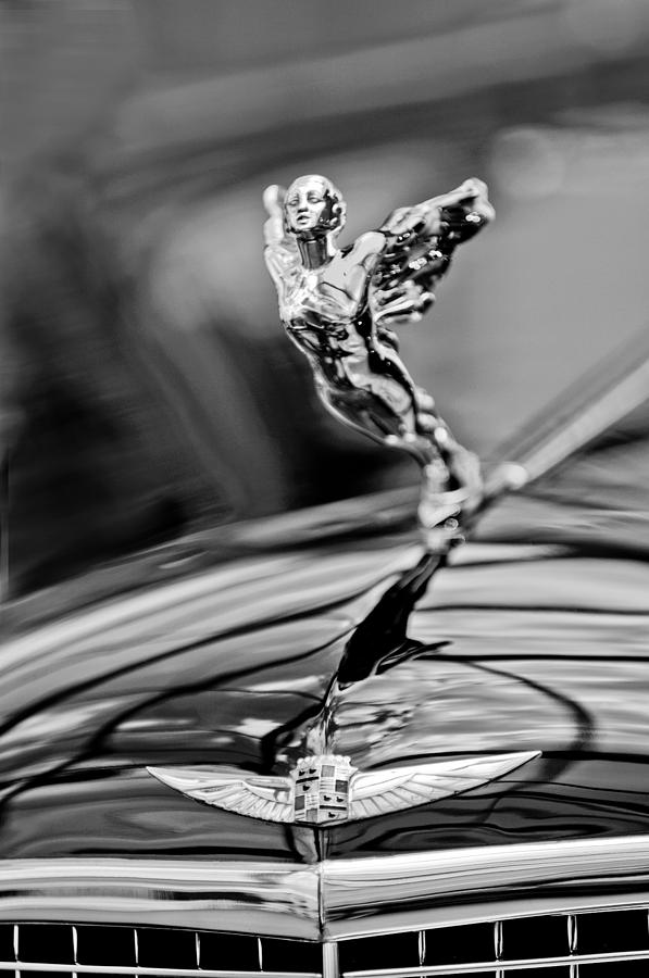 1934 Cadillac V-16 452 Two-Passenger Stationary Coupe Hood Ornament and Emblem #2 Photograph by Jill Reger