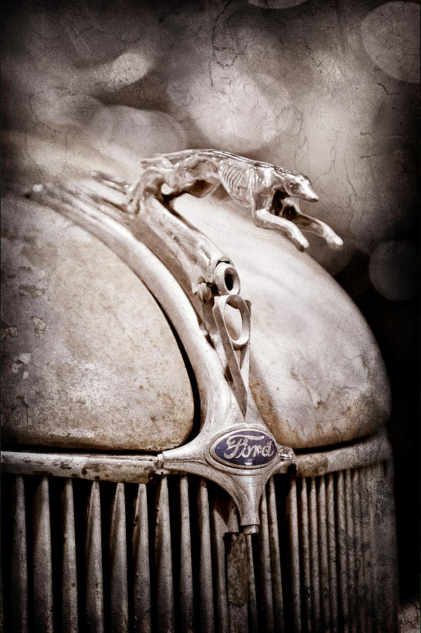 Car Photograph - 1936 Ford Cabriolet Hood Ornament #2 by Jill Reger