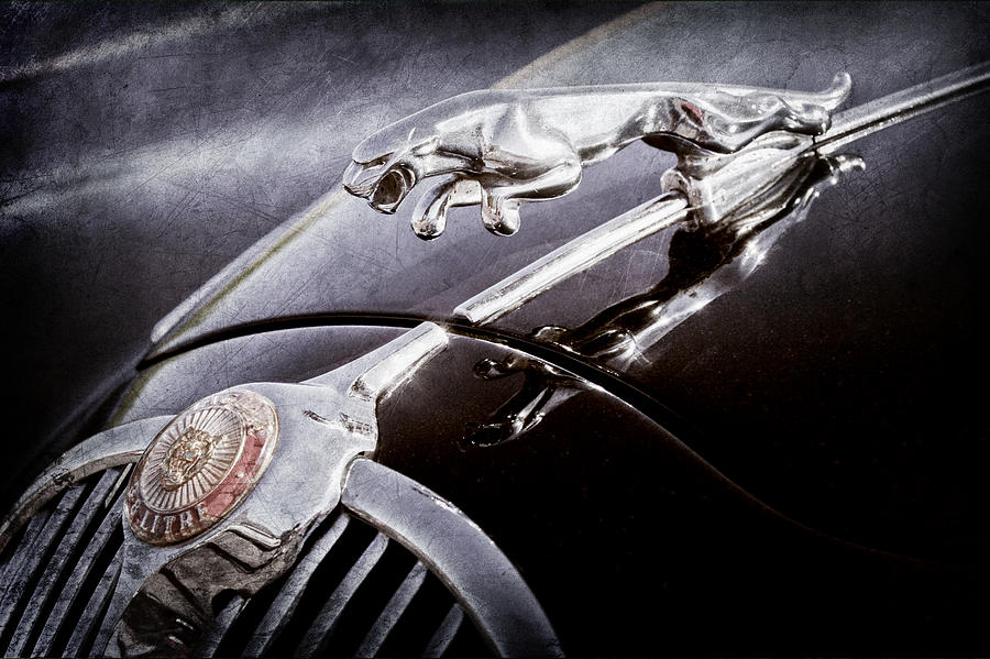 1964 Jaguar MK2 Saloon Hood Ornament and Emblem #2 Photograph by Jill Reger