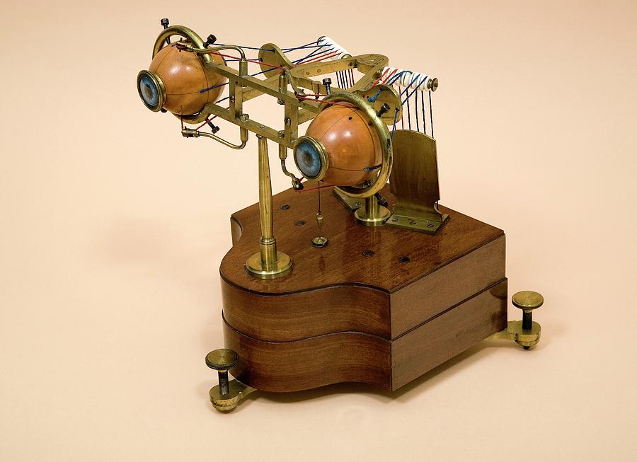 19th Century Ophthalmotrope #2 Photograph by Mark Thomas/science Photo Library