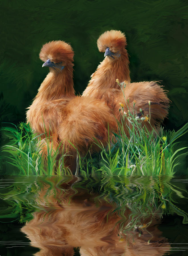 Chicken Digital Art - 54. 2 buffs This one can be printed by Sigrid Van Dort Chicken Digital Art - 54. 2 buffs This one can be printed by Sigrid Van Dort