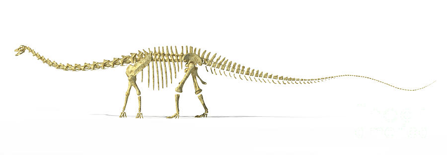 3d Rendering Of A Diplodocus Dinosaur Digital Art