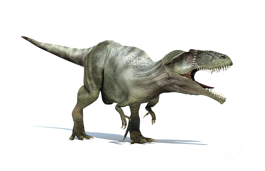 3d Rendering Of A Giganotosaurus Digital Art