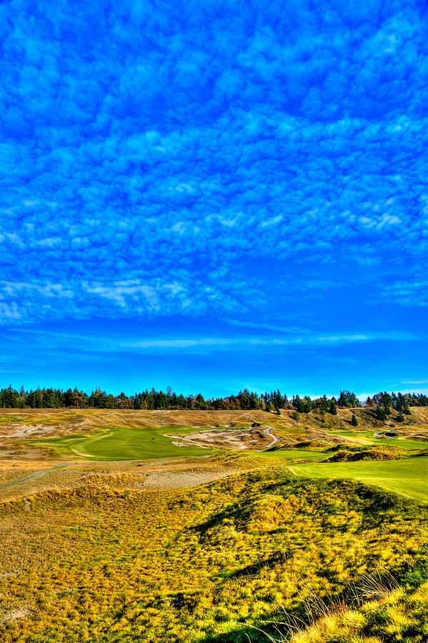 #4 at Chambers Bay Golf Course - Location of the 2015 U.S. Open Championship #2 Photograph by David Patterson