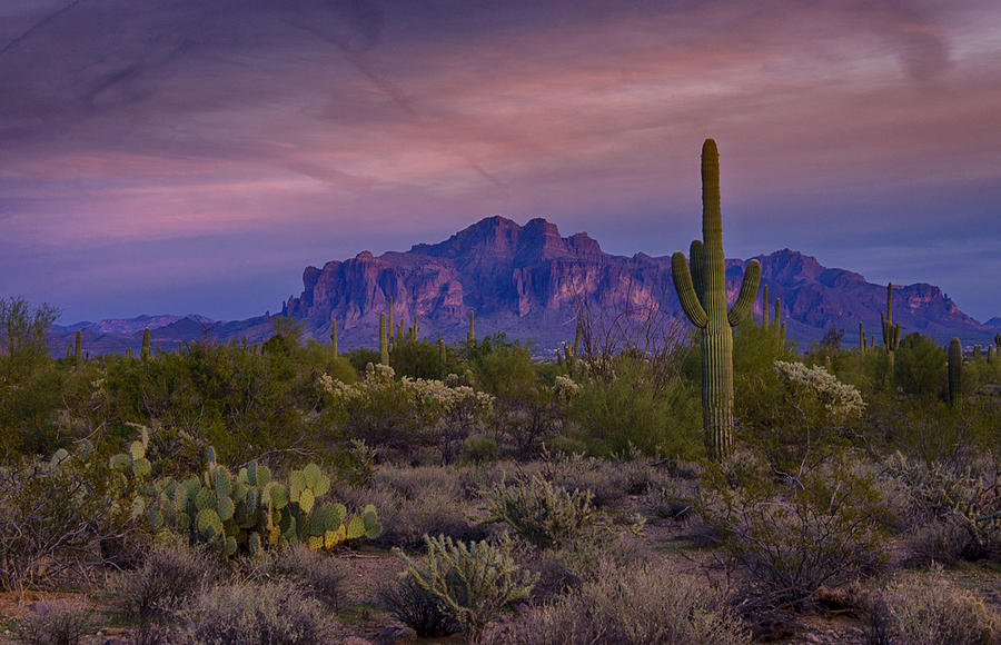 A Beautiful Desert Evening  #3 Photograph by Saija Lehtonen