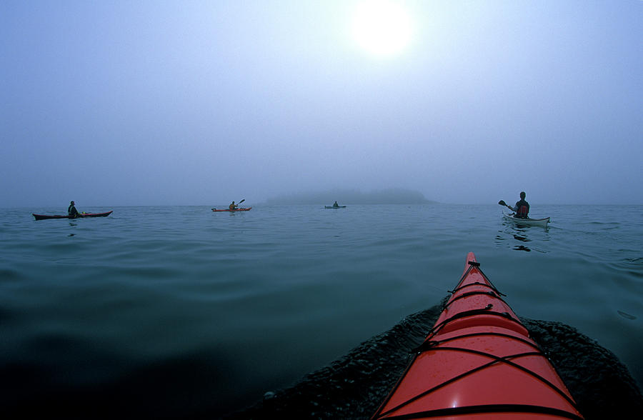 Sports Photograph - A Group Of People On A Sea Kayaking #2 by David McLain