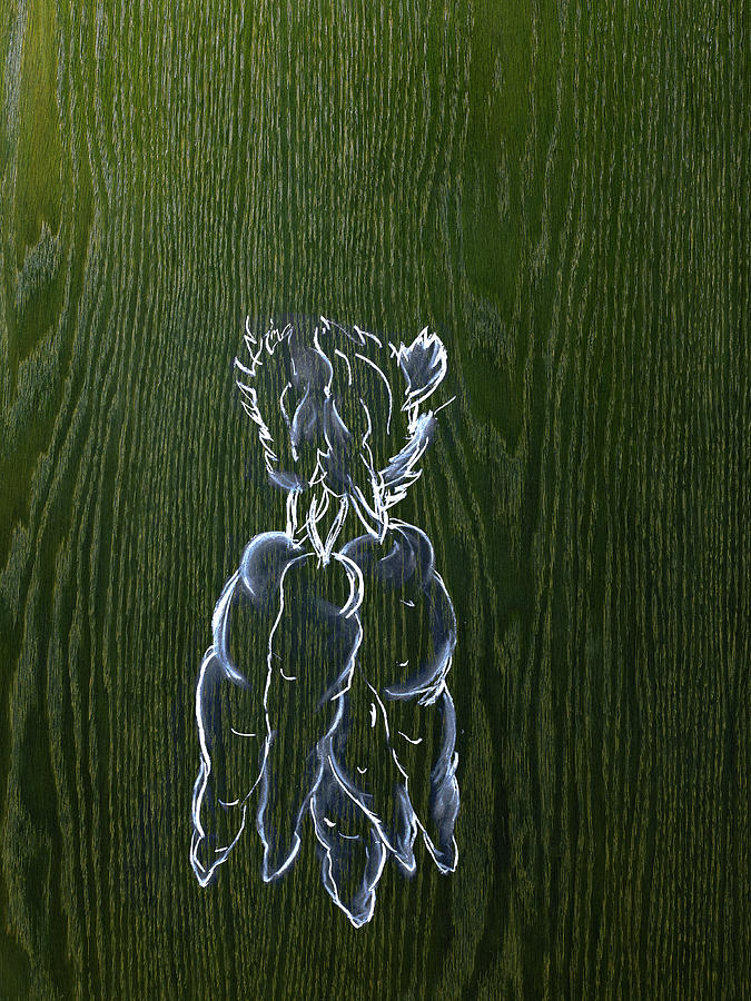A Line Drawing Image On A Natural Wood Photograph by Mint Images - David Arky A Line Drawing Image On A Natural Wood Photograph by Mint Images - David Arky