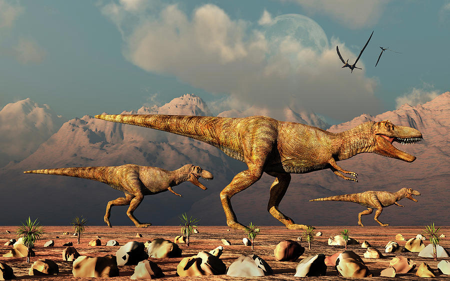 A Pack Of Tyrannosaurus Rex Dinosaurs #2 Photograph by Mark Stevenson