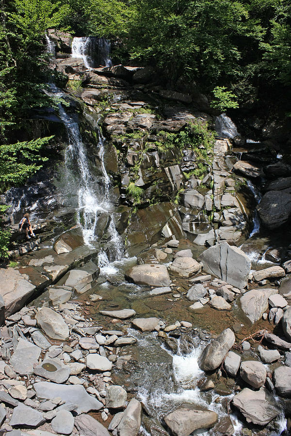 A Scenic View Of Bastion Falls Photograph
