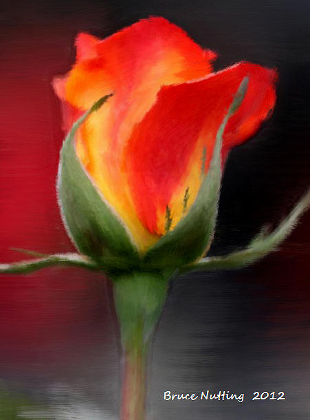 A Single Red Rose #2 Painting by Bruce Nutting