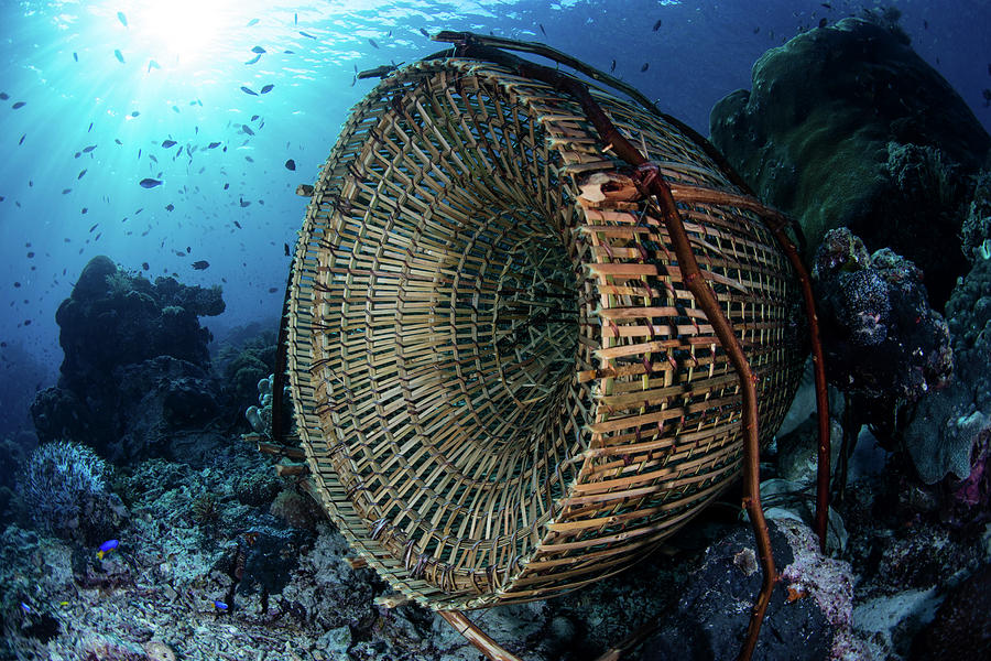 A Traditional Fish Trap Made #2 Photograph by Ethan Daniels - Pixels