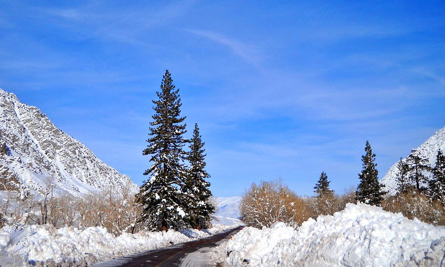 A Winter Scene Photograph by Marilyn Diaz