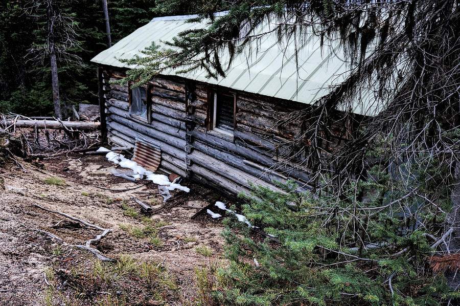 Abandon Miners Cabin #2 Photograph by Ron Roberts