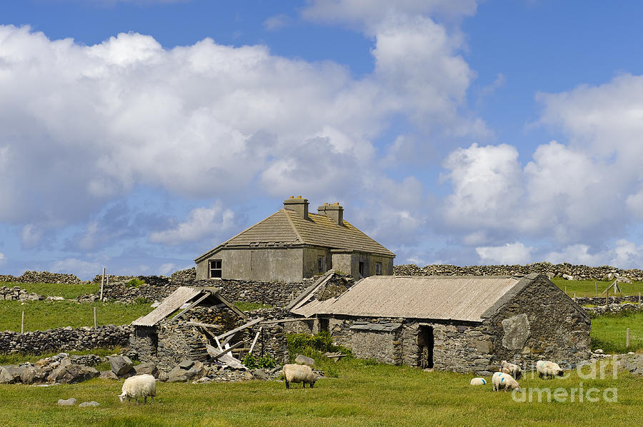 Abandoned Farm In Ireland #2 Photograph by John Shaw