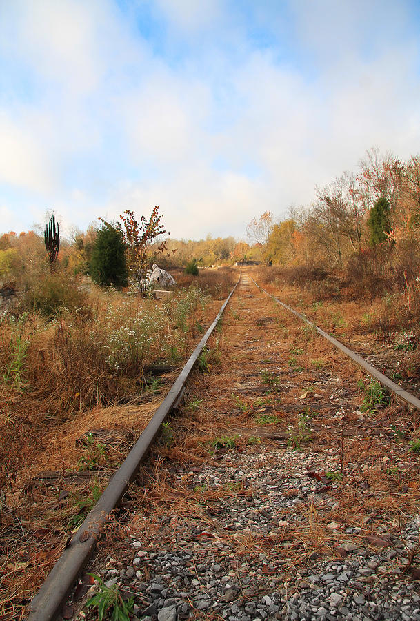 Abandoned Tracks #2 Photograph by Melinda Fawver