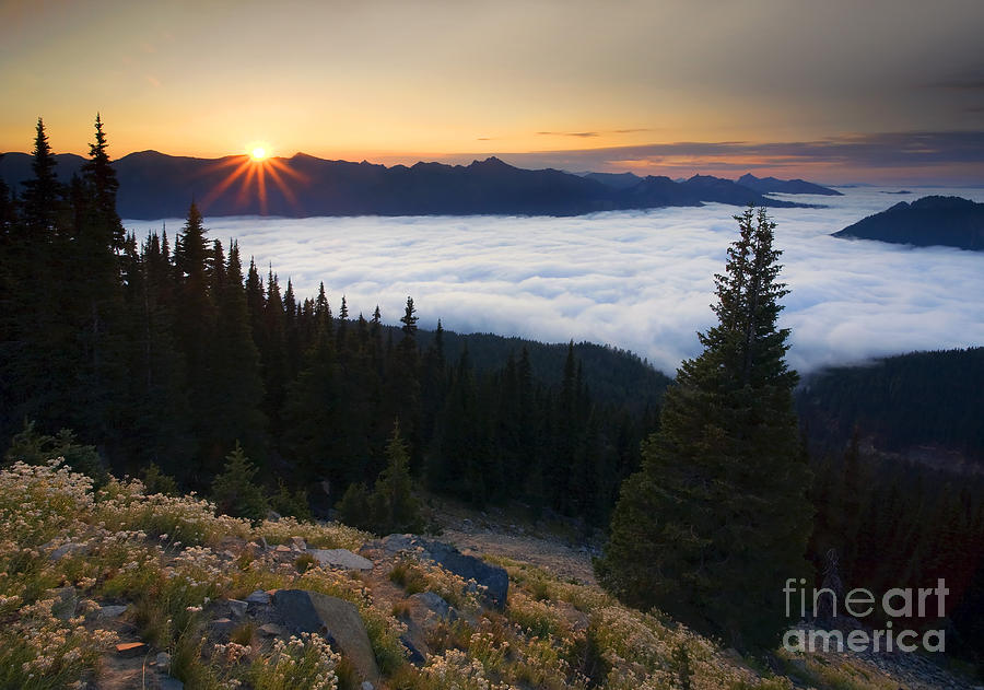 Mountain Photograph - Above the Clouds #3 by Michael Dawson