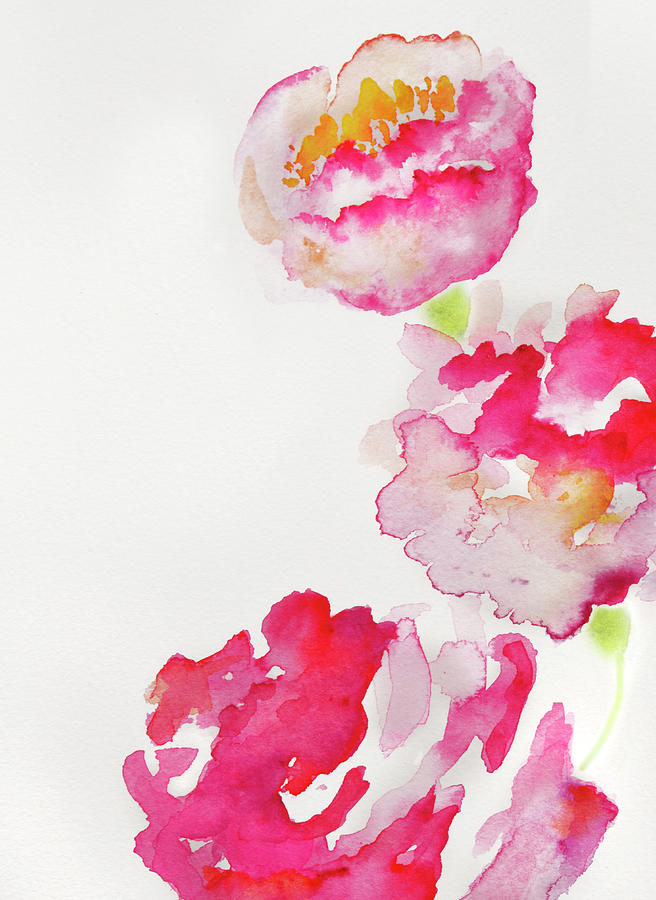 Abstract Watercolour Flowers By Kathy Collins