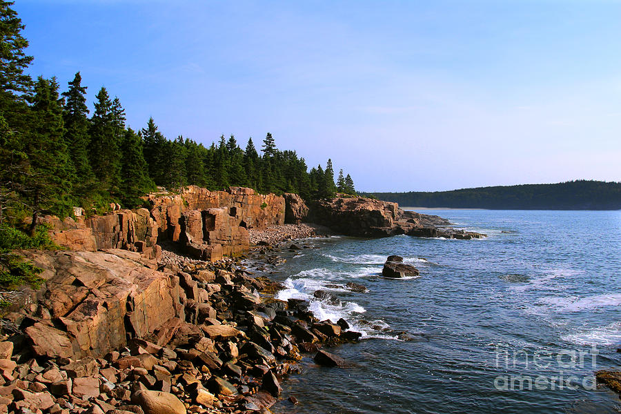 Acadia Coast Photograph by Jemmy Archer