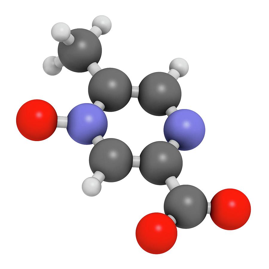 Acipimox Hypertriglyceridemia Drug Molecule #2 Photograph by Molekuul ...