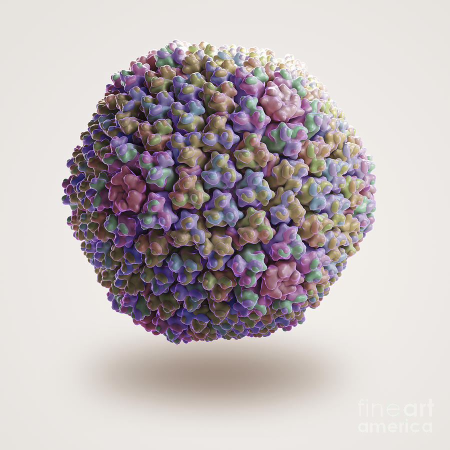 Adenovirus #2 Photograph By Science Picture Co - Fine Art America