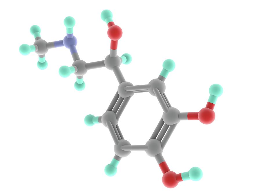 Adrenaline Epinephrine Molecule Photograph By Alfred Pasieka Science 