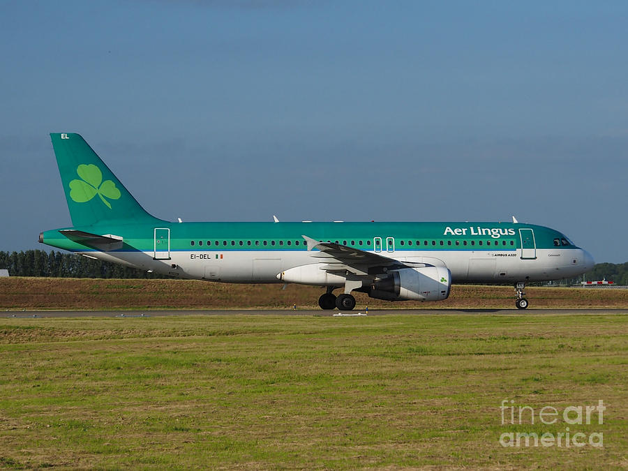 Transportation Photograph - Aer Lingus Airbus A320 #2 by Paul Fearn
