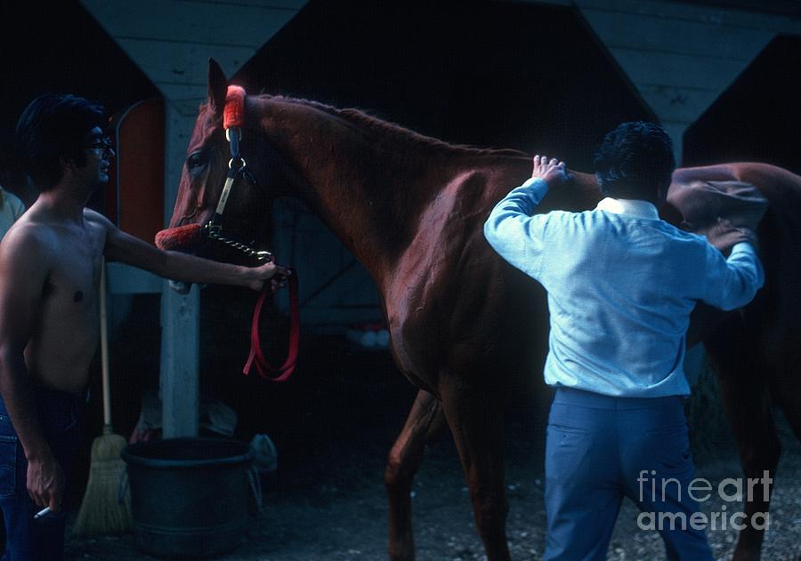 Affirmed #2 Photograph by Marc Bittan