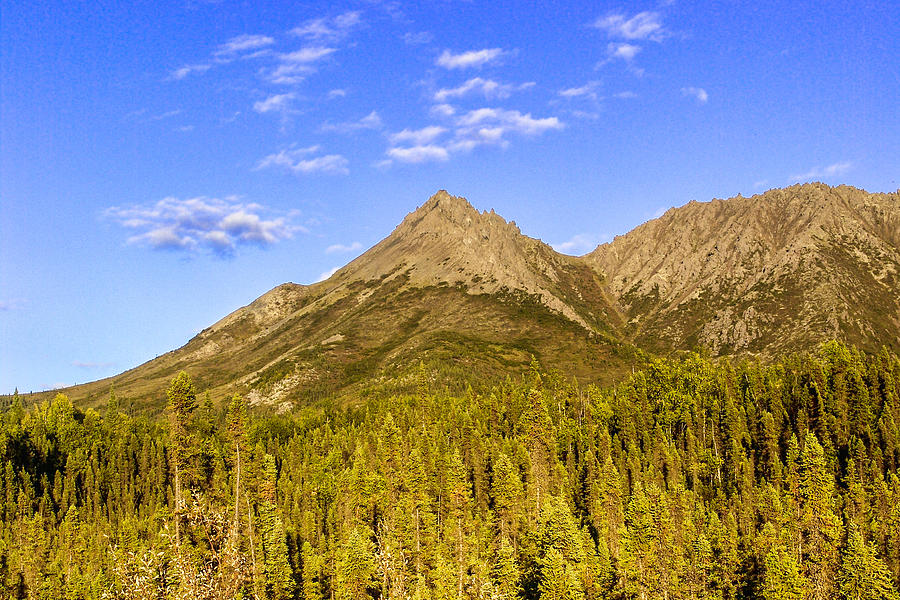 Tree Photograph - Alaska Mountains #2 by Chad Dutson