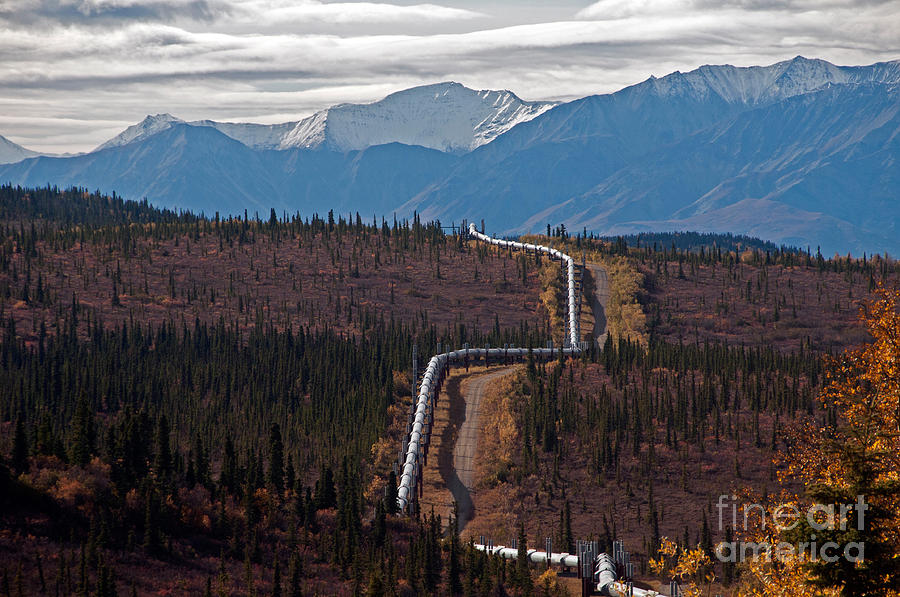 Alaska Oil Pipeline #2 Photograph by Mark Newman