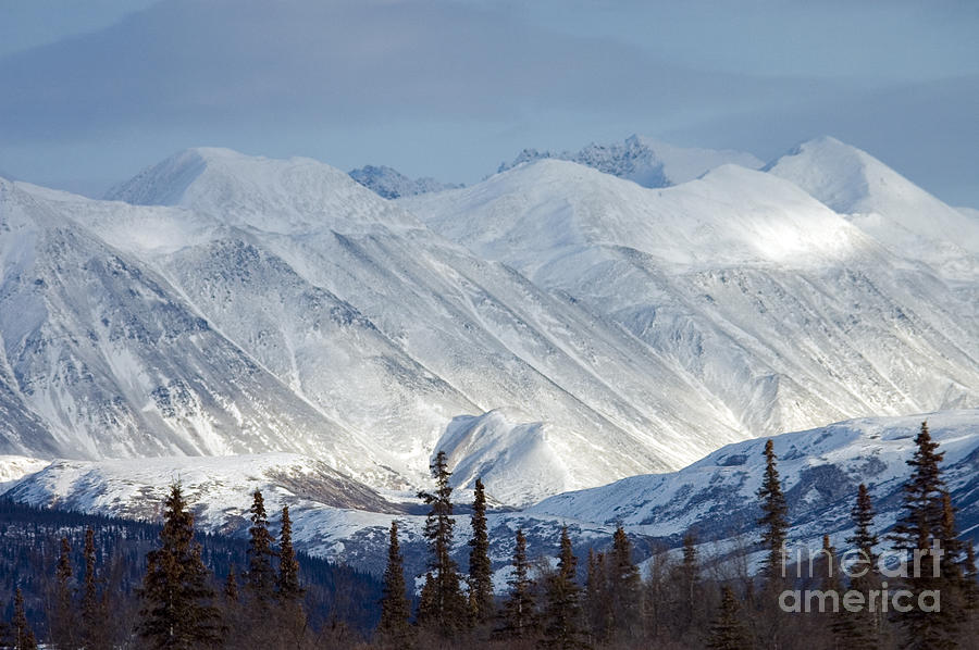 Alaska Range #2 Photograph by Mark Newman Alaska Range #2 Photograph by Mark Newman