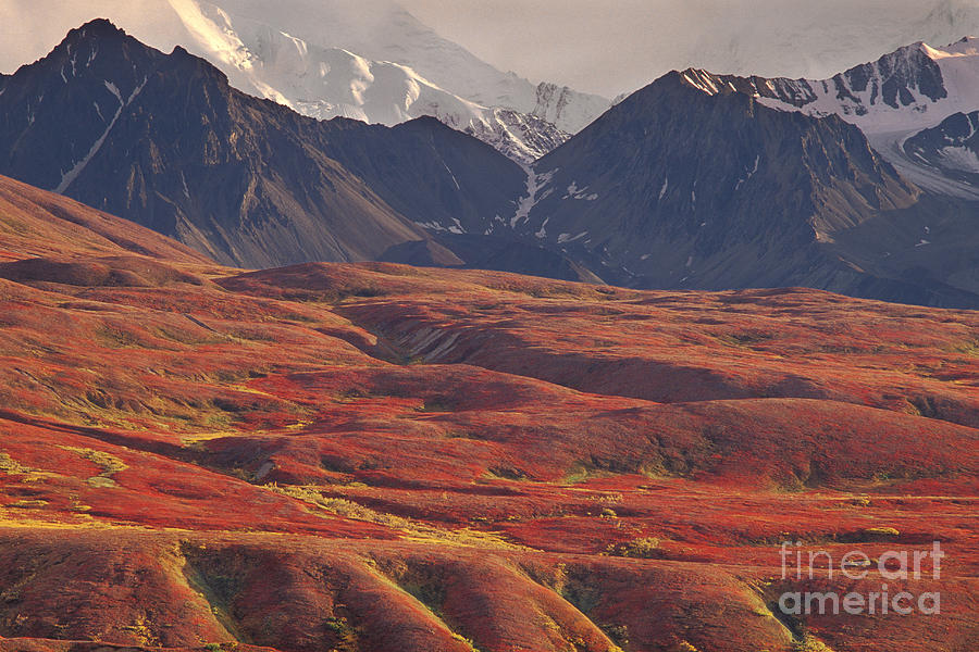 Alaska Range #2 Photograph by Ron Sanford