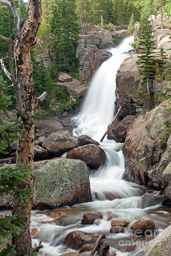 Alberta Falls on Glacier Creek in Rocky Mountain National Park #2 Photograph by Fred Stearns