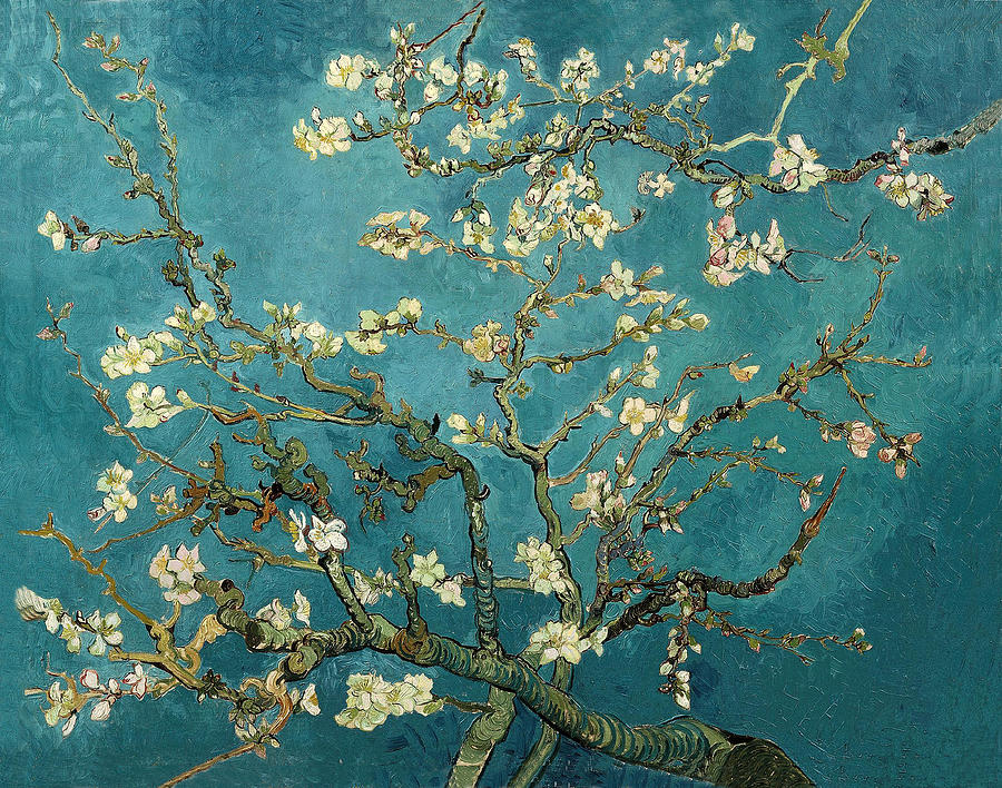 Vincent Van Gogh Painting - Almond Branches in Bloom #3 by Celestial Images