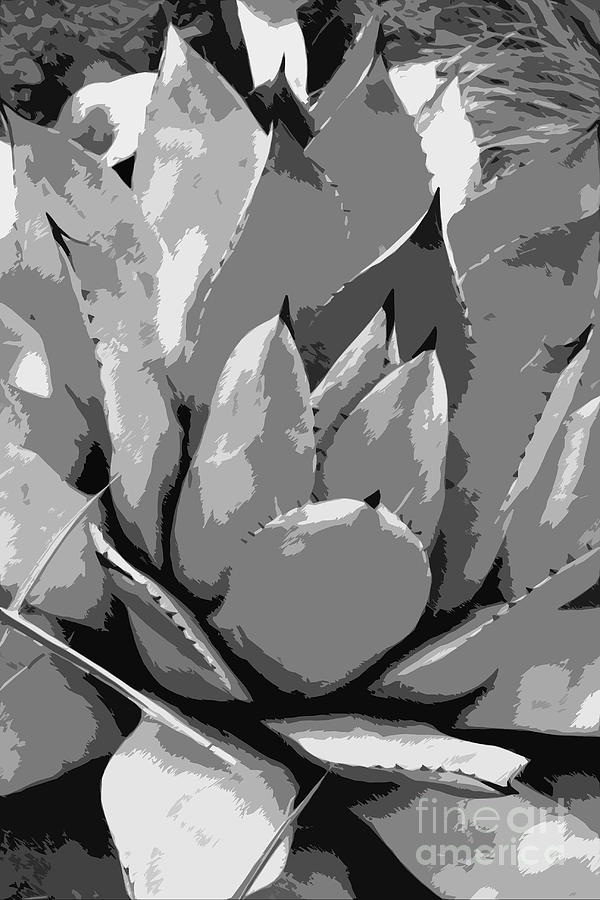 Flora Photograph - Aloe Vera Abstract  by Christiane Schulze Art And Photography