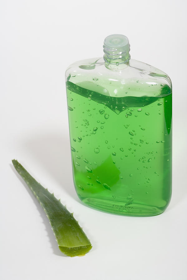 Aloe Vera Plant And Gel #2 Photograph by Science Stock Photography