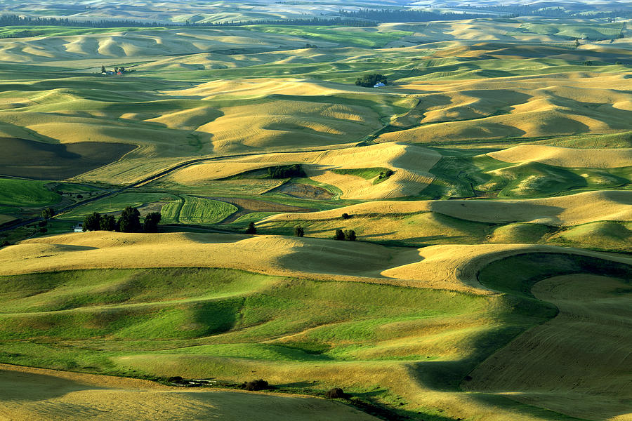 American farmland Photograph by King Wu - Fine Art America