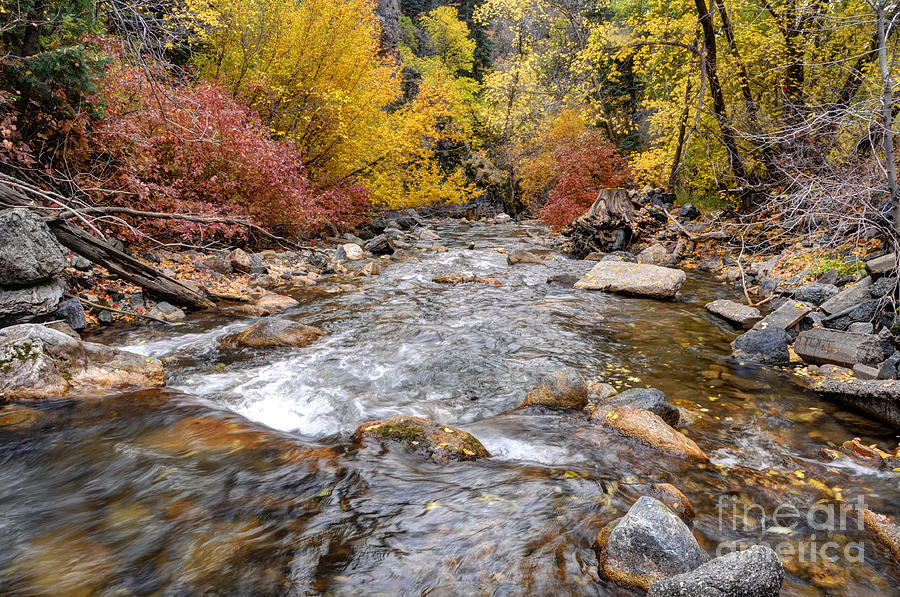 American Fork Canyon Creek in Autumn - Utah #3 Photograph by Gary Whitton