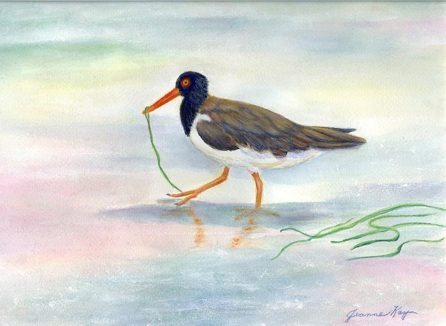 American Oyster Catcher #2 Painting by Jeanne Juhos