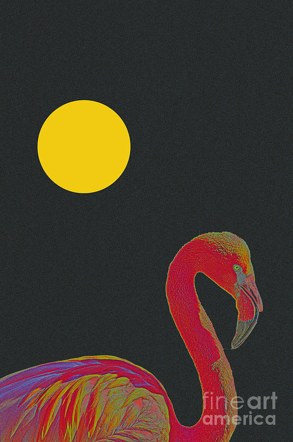 American Pink Flamingo #2 Mixed Media by Celestial Images