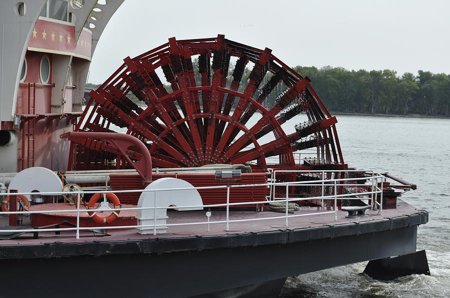 American Queen Photograph by Bob Petzinger - Fine Art America