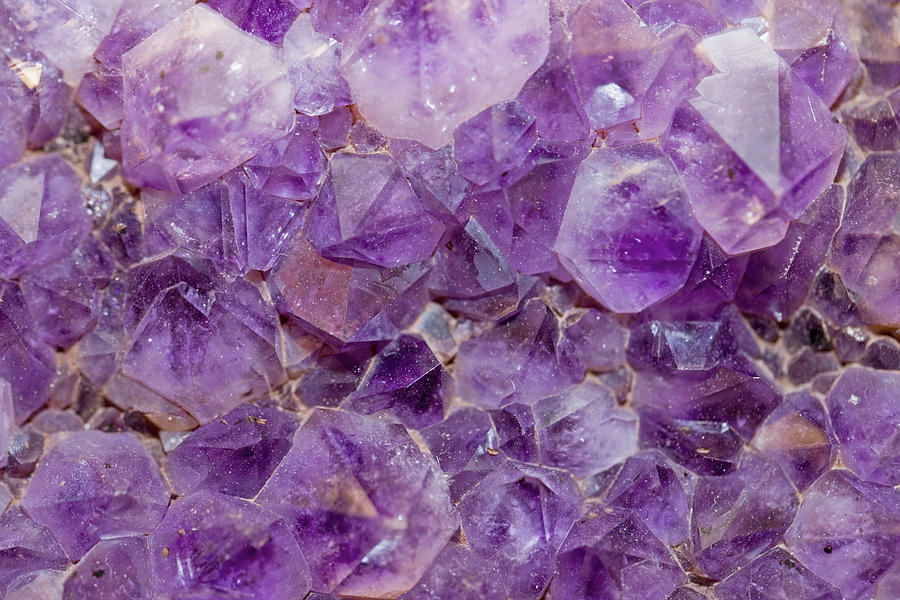 Amethyst Crystals Photograph by Science Stock Photography/science Photo ...