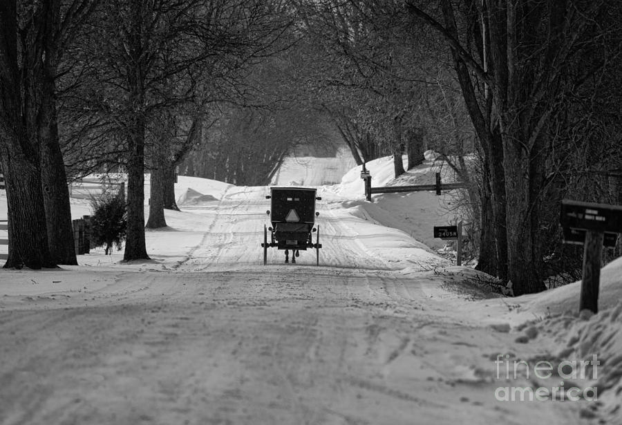 Amish Photograph - Amish Buggy near Shipshe #2 by David Arment