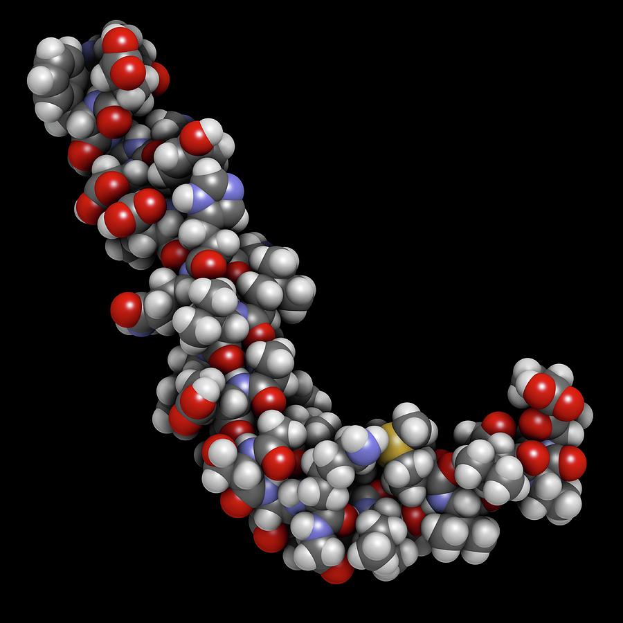 Amyloid Beta Molecule #2 Photograph by Molekuul/science Photo Library ...