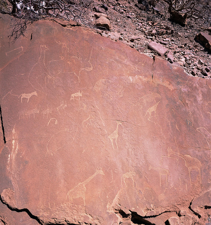 Prehistoric Photograph - Ancient Petroglyphs #2 by Sinclair Stammers/science Photo Library