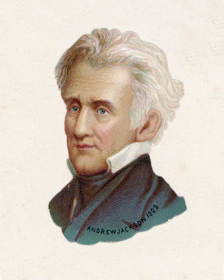 Andrew Jackson 7th President Drawing by Mary Evans Picture Library