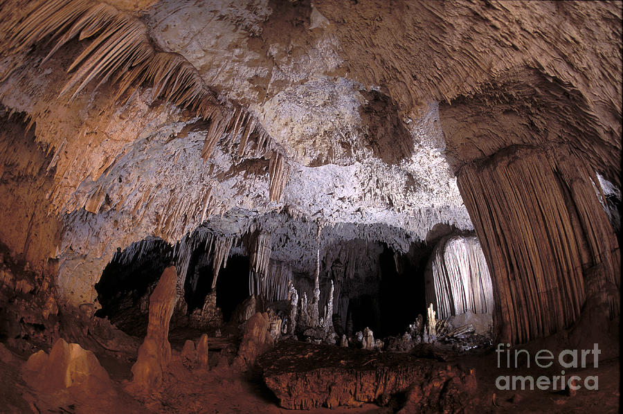 Anjohibe Cave, Madagascar #2 Photograph by Greg Dimijian